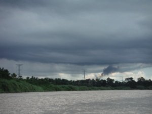 A palm oil field and processing plantation across the river from the Mengaris Village and KOPEL Headquarters.