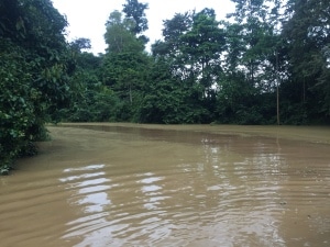 A tributary that enters the Kinabatagan River.