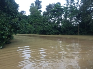 A tributary that enters the Kinabatagan River. 