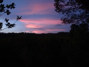 Sunset at the Sepilok laut reserve. (PC: Gretchen Coffman)