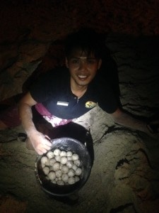 Jussry and turtle eggs