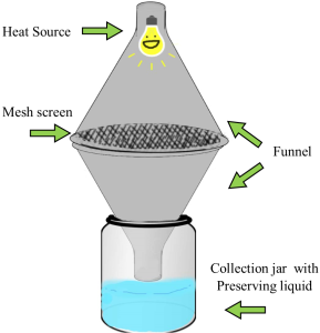 funnelsetup