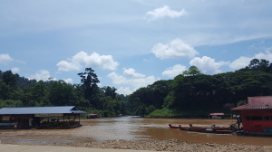 The shore of the Tembeling River outside of Kuala Tahan. Restaurants are cabled to the hill behind the picture. Boats can be hired for 1 RM per person.