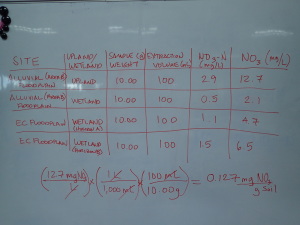 Nitrate analysis data 